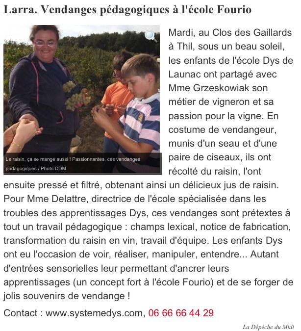 Vendanges pédagogiques à l&rsquo;école FOURIO